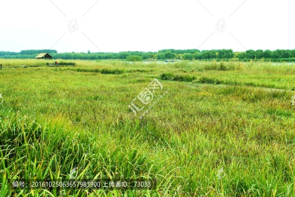 濕地