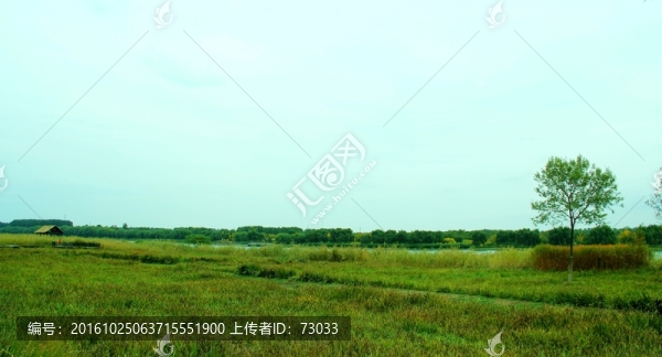 濕地