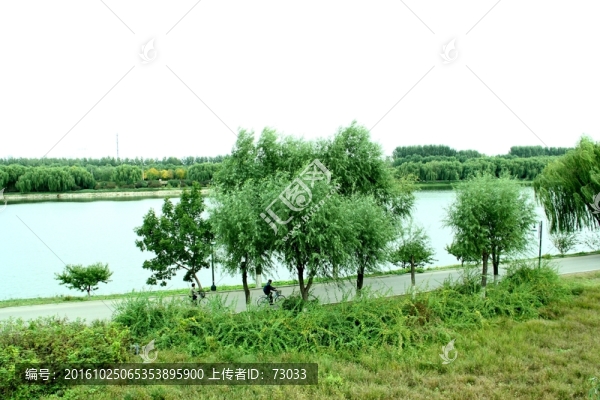 濕地