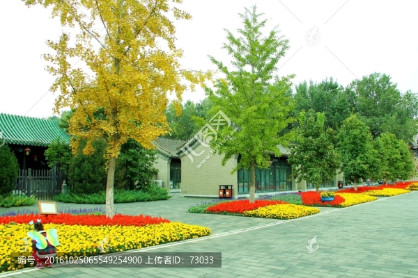 秋景