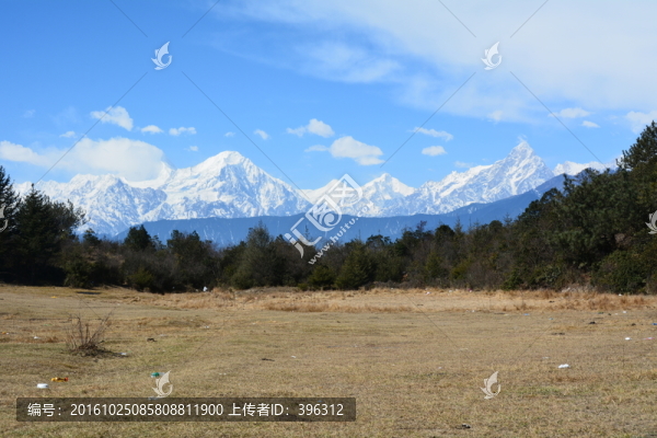 露營草地