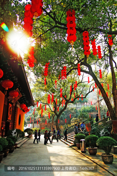 中式燈籠,法喜寺