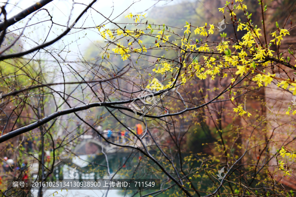 郭亮春季風光