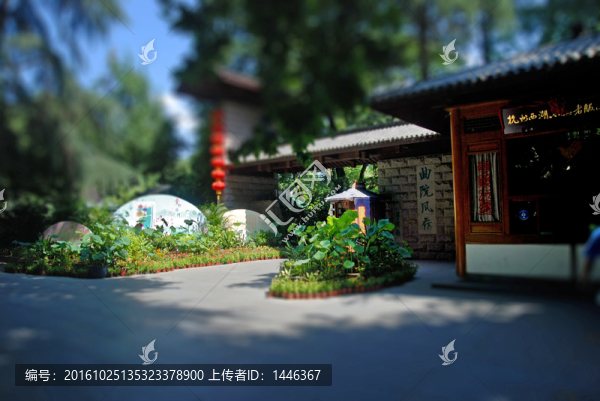 西湖,曲院風荷