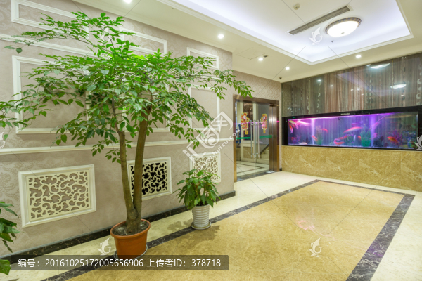 茶樓咖啡廳休閑場所