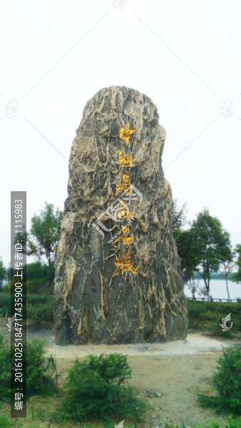 中國菊花名城開封