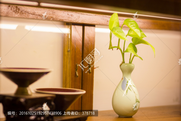 茶樓咖啡廳休閑場所