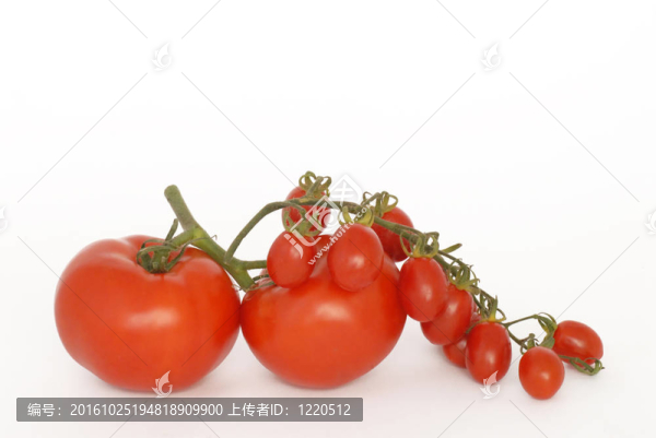 西紅柿