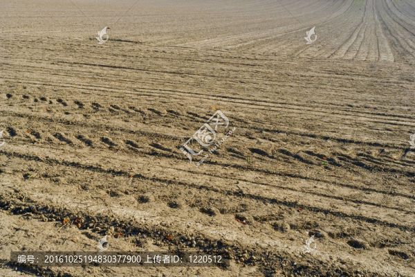 犁過的田野背景