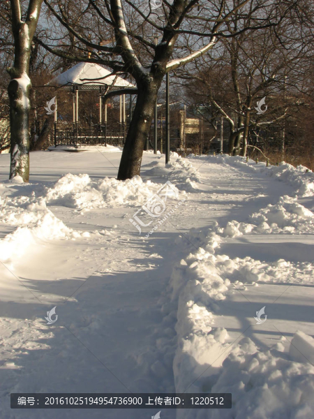 公園里的冬天