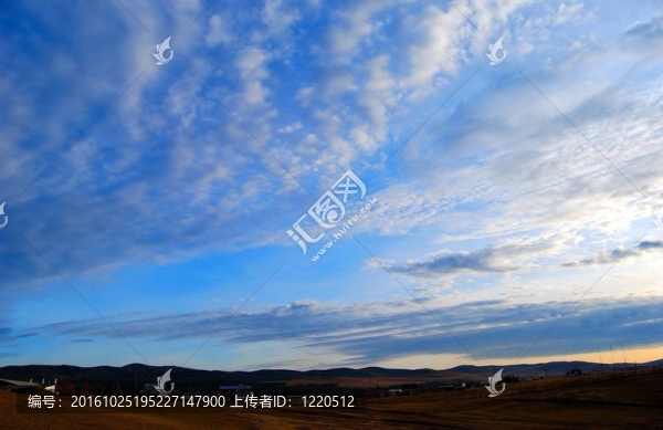 奧爾洪島
