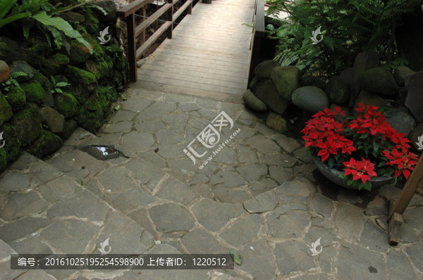熱帶花園