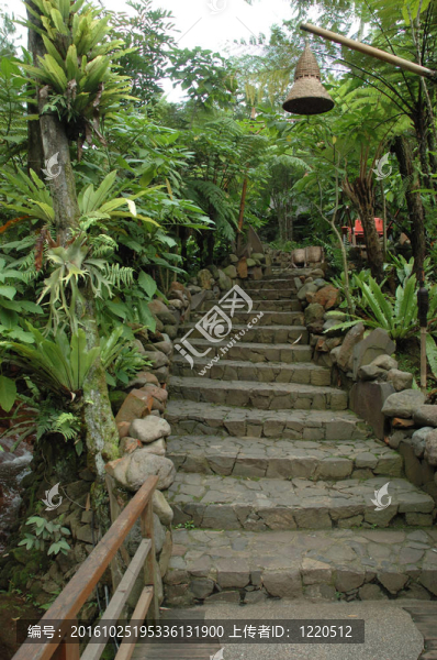 熱帶花園