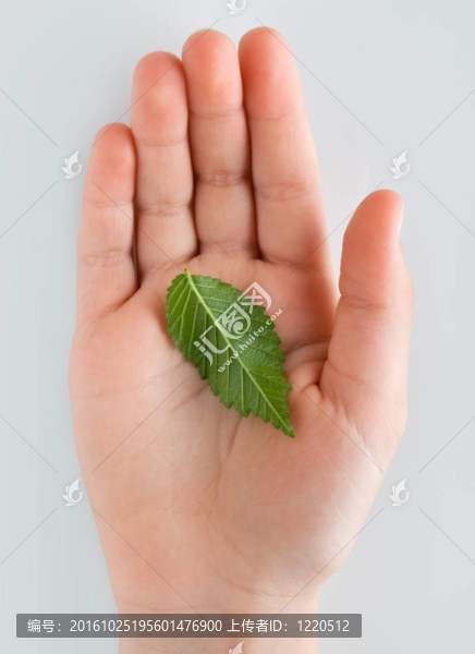 生命在我手中
