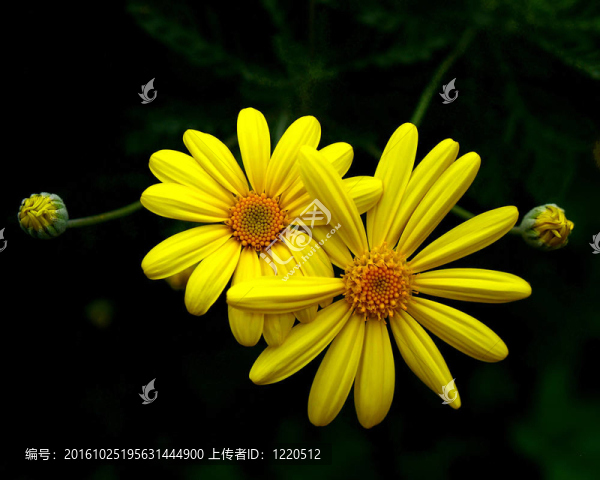 花