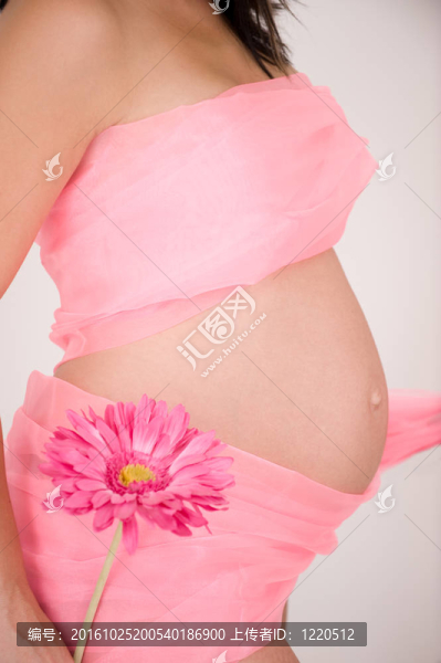 粉紅色顯示腹部保持粉紅花懷孕的年輕婦女；側(cè)視