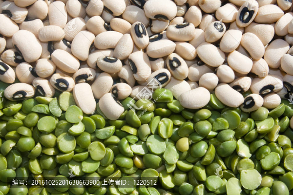 黑眼豆豆和青豆