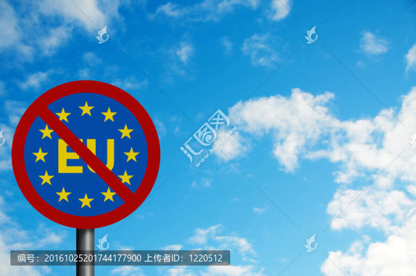一系列政治問題：歐元懷疑論者的概念