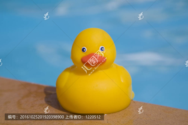 橡皮小鴨