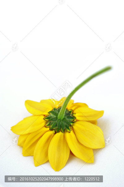 顛倒地