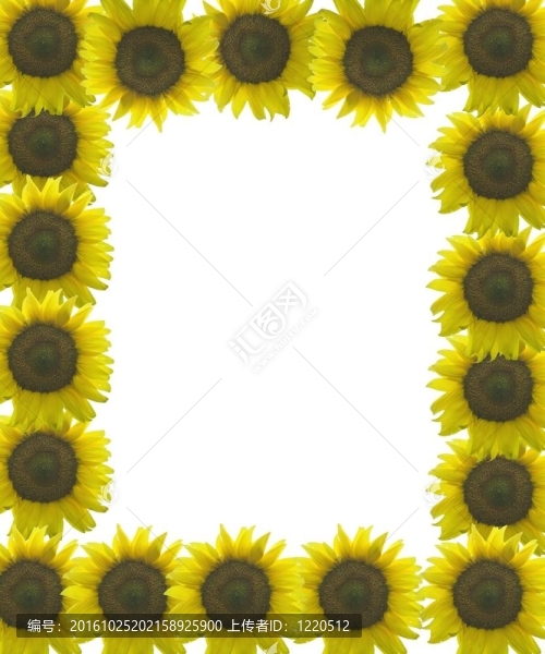 太陽花框