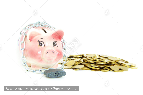 撲滿