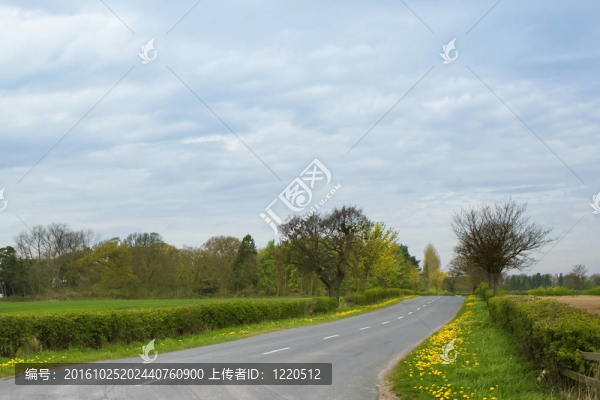 英語國家的道路