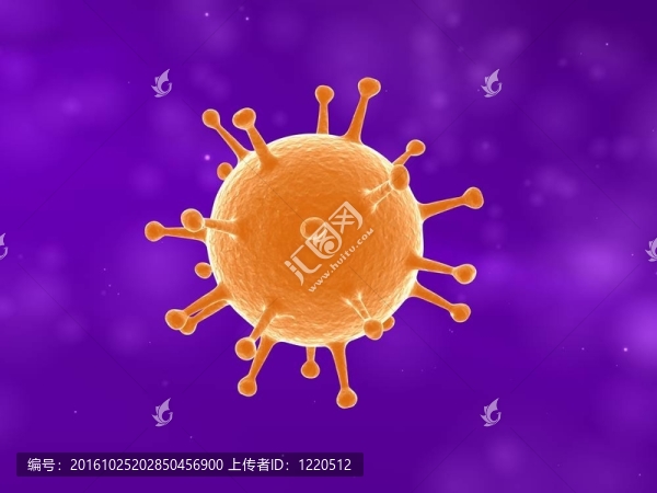 病毒特寫
