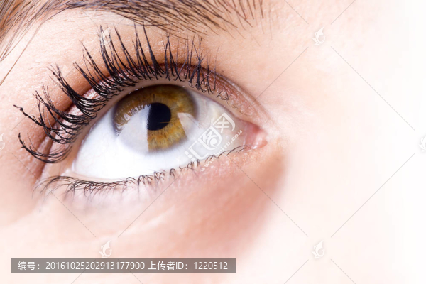 女孩的眼睛