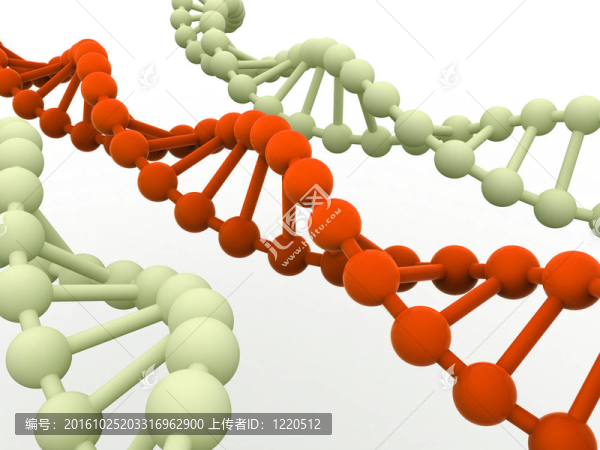 基因在DNA。