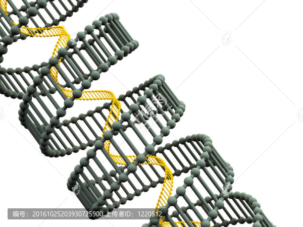 基因在DNA。