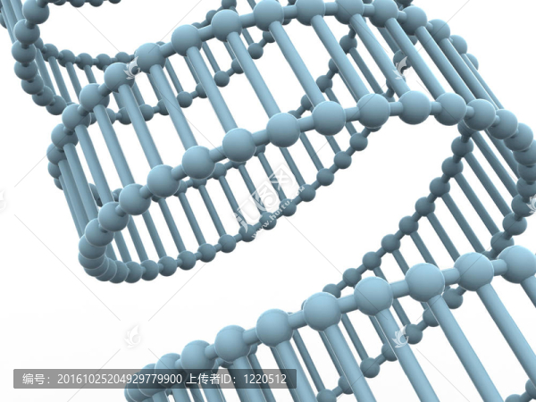 基因在DNA。