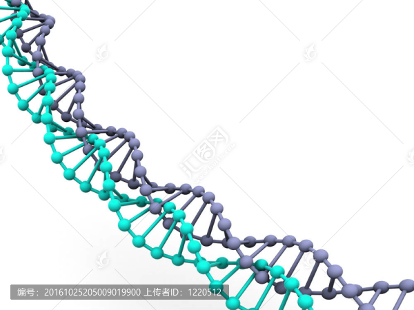 基因在DNA。