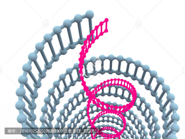 基因在DNA。