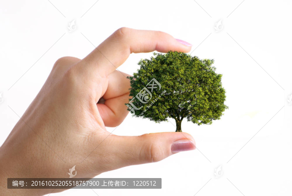 我們手中的自然