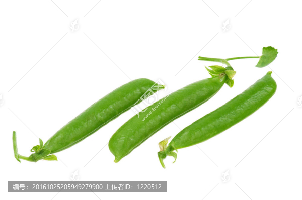 豌豆莢