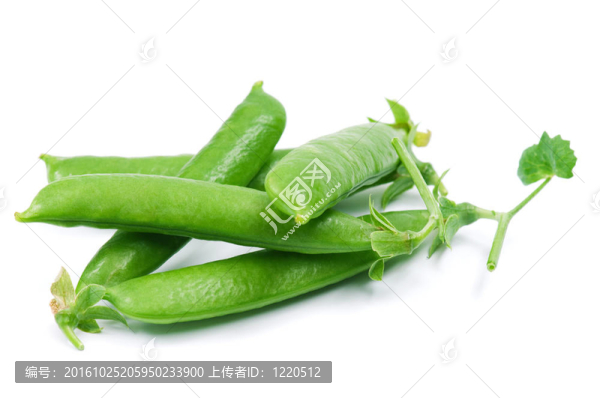 豌豆莢
