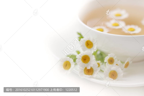草藥茶
