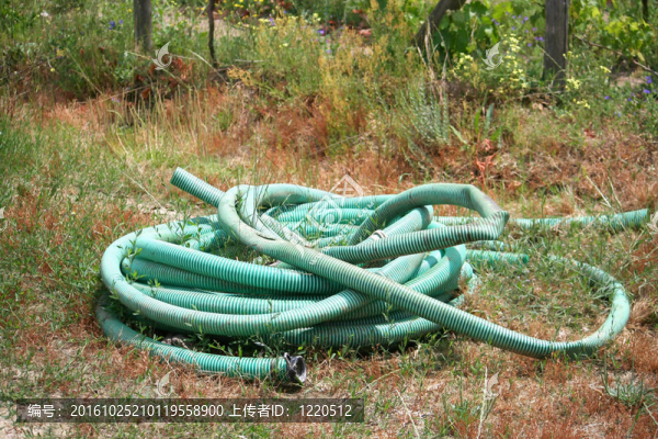 軟管卷草