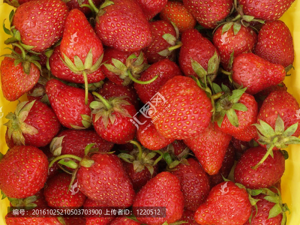 Strawberry。