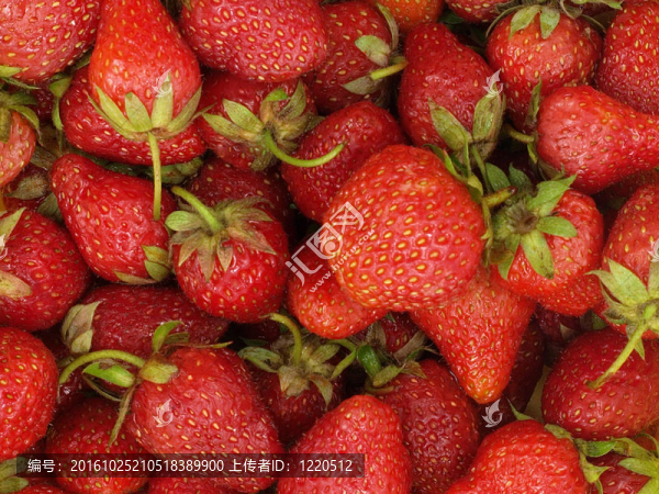 Strawberry。