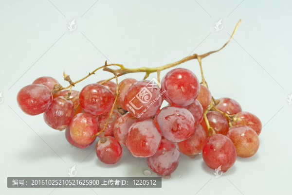 粉紅色的葡萄簇
