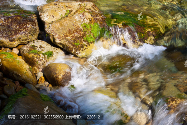 海灘上的白水