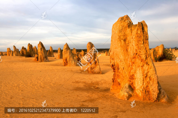 尖峰石陣
