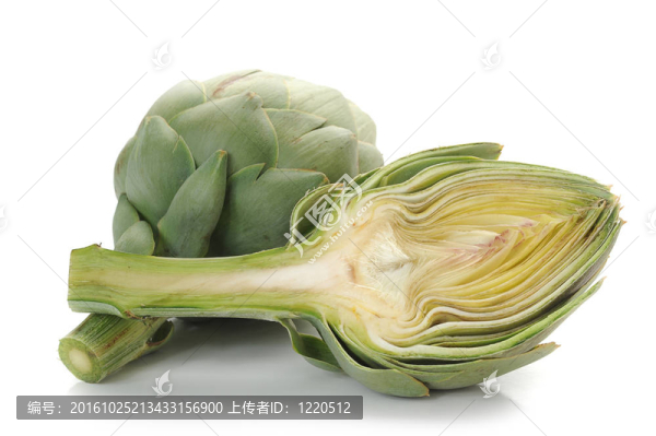 朝鮮薊-匯圖網(wǎng) www.fosd68.com 朝鮮薊