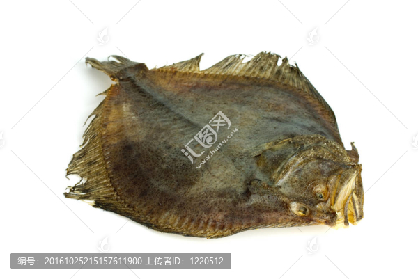 比目魚干