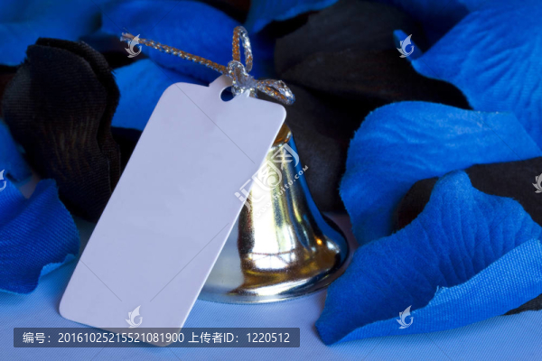 婚禮上的貝兒