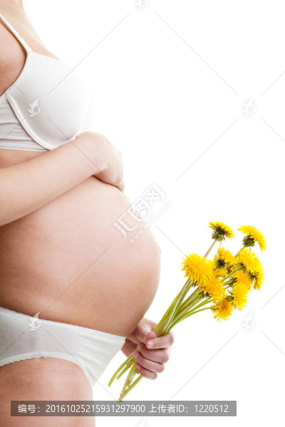 孕婦蒲公英
