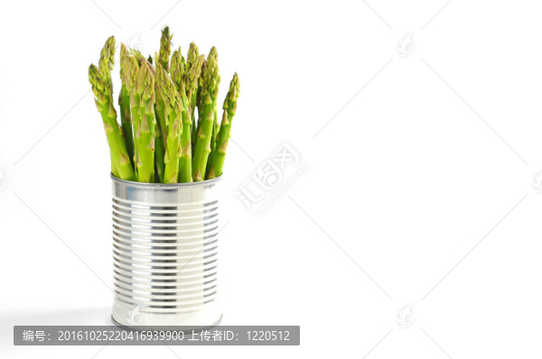 蘆筍