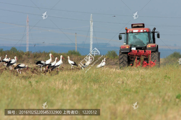 拖拉機(jī)